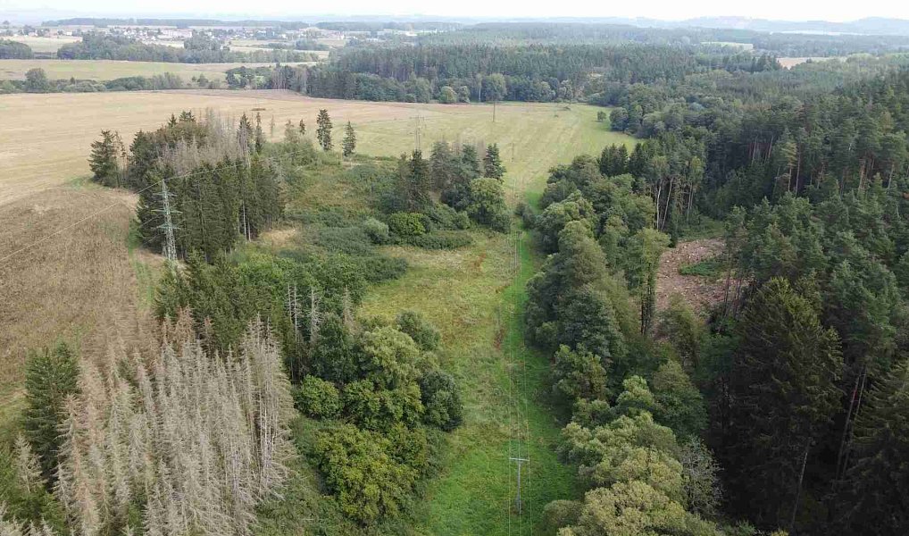 Prodej pole 58 887 m², Tachov – náhled fotky 6