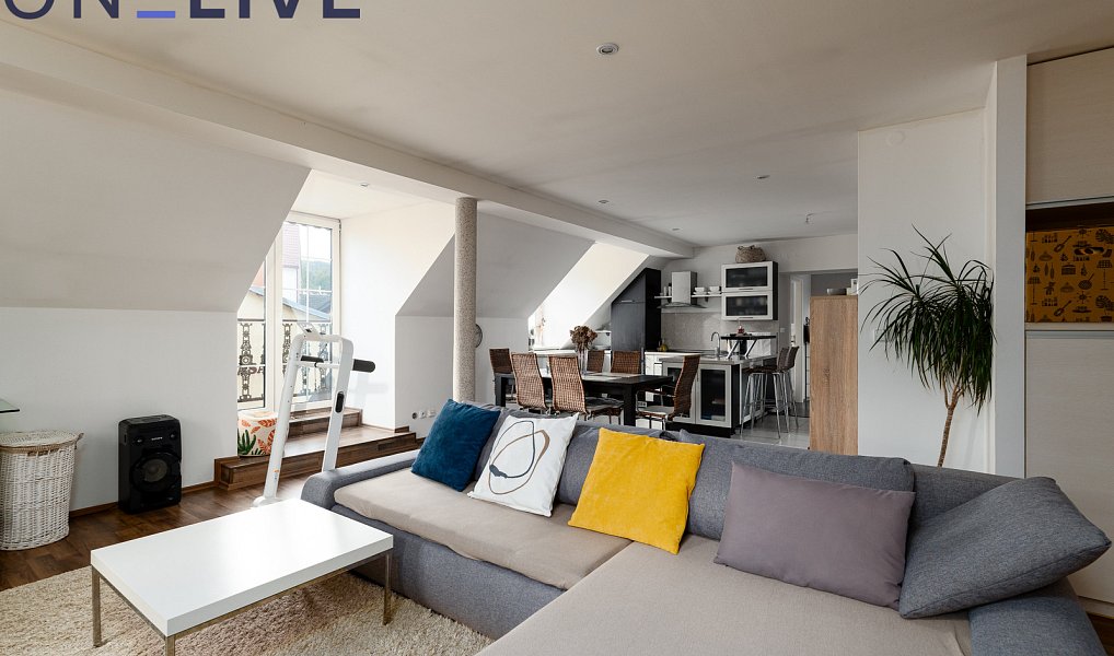 Prodej ubytovacího objektu 480 m², Starý Plzenec – náhled fotky 22