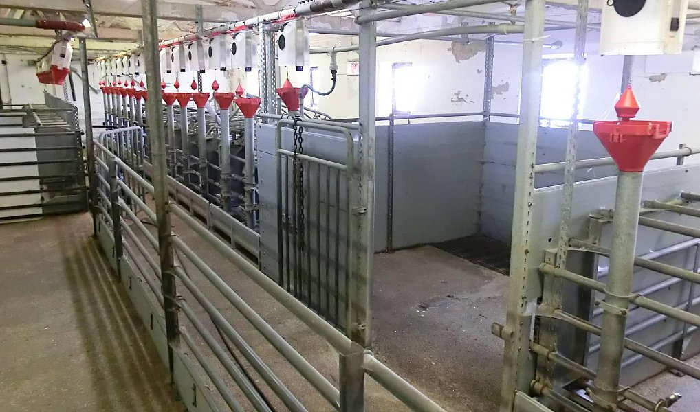 Prodej zemědělského objektu 2 000 m², Majdalena – náhled fotky 17