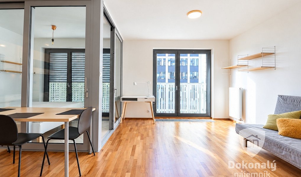 Pronájem bytu 1+1 48 m², Praha – náhled fotky 4