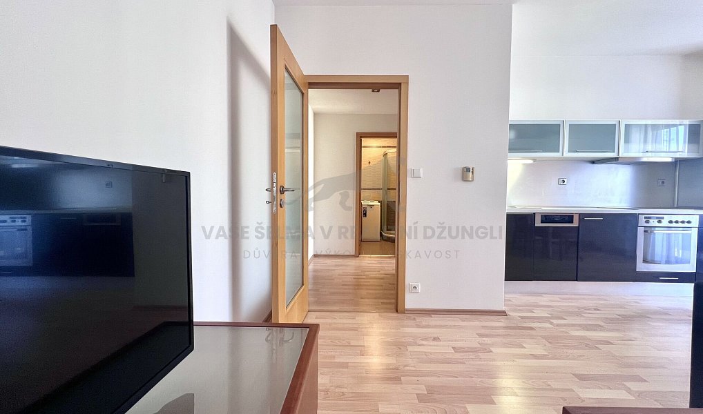 Pronájem bytu 2+kk 45 m², Praha – náhled fotky 8
