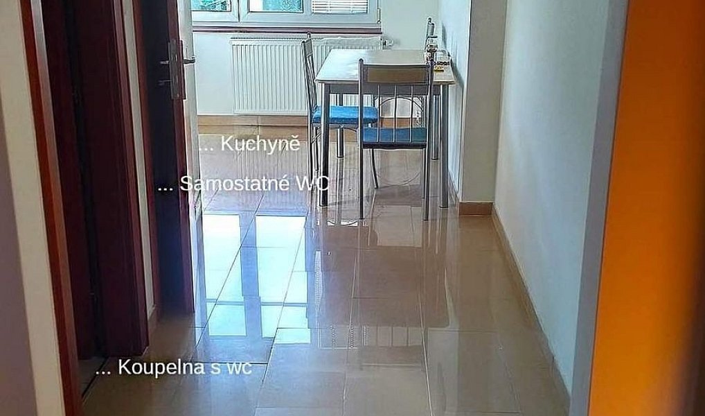 Pronájem pokoje 30 m², Plzeň – náhled fotky 9