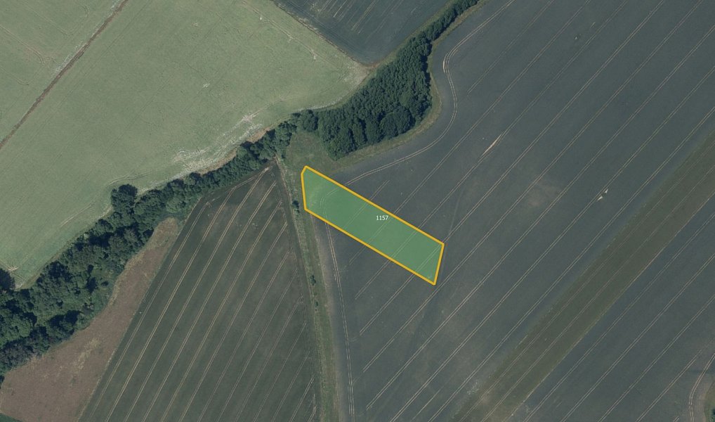 Prodej pozemku, 7095 m², Havlíčkův Brod, Podmoky