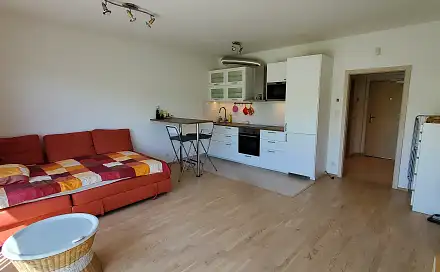 Pronájem bytu 1+kk 36 m²