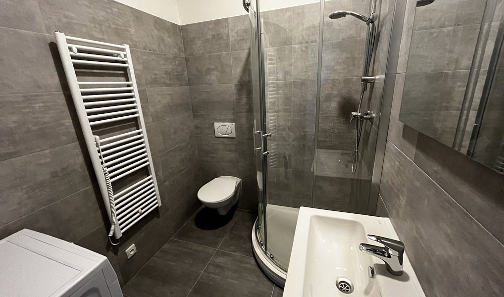 Pronájem bytu 1+kk 29 m², Liberec – náhled fotky 5
