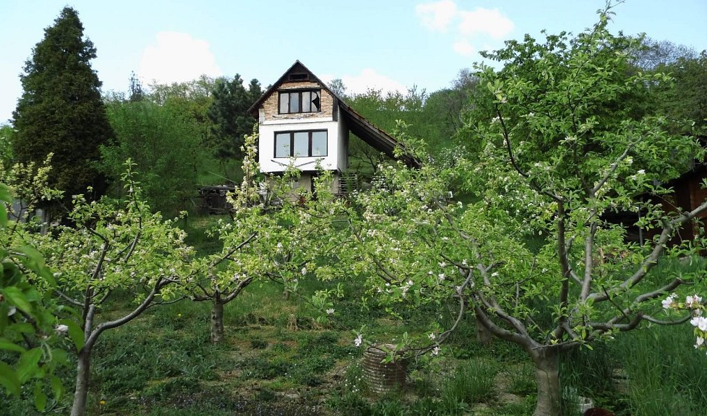 Prodej domu 43 m² s pozemkem 1 412 m², Trnovany – náhled fotky 4