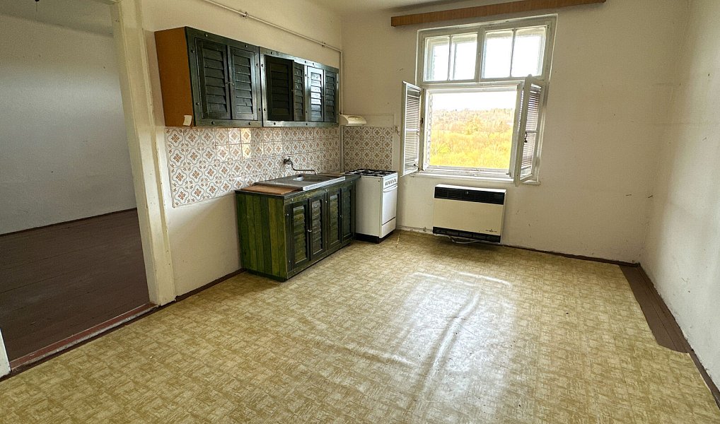 Prodej bytu 1+1 46 m², Planá – náhled fotky 22