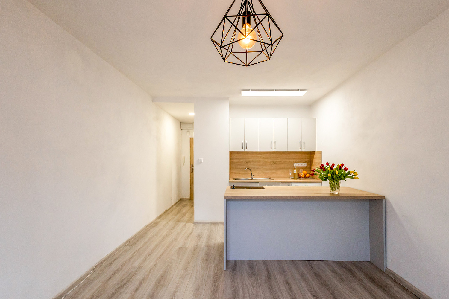 Pronájem bytu 1+kk 29 m² - Widok 3