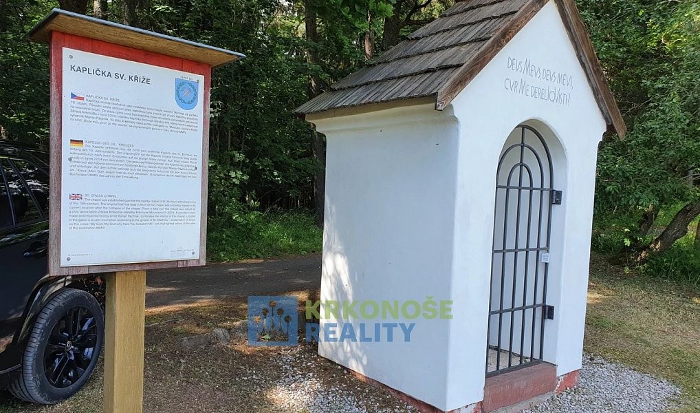 Prodej pozemku 4 617 m², Černý Důl – náhled fotky 4
