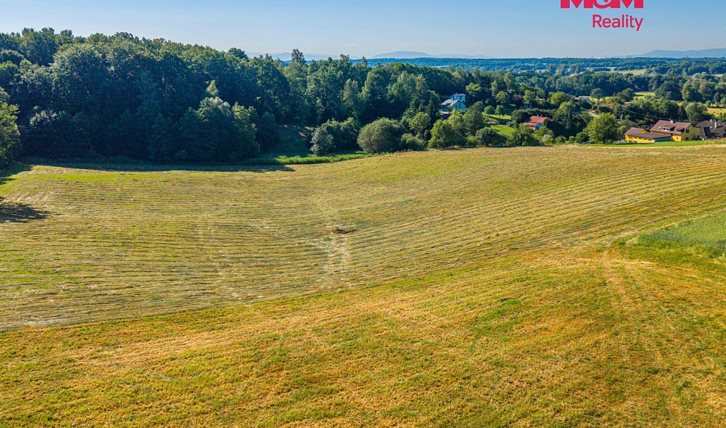 Prodej louky 29 562 m², Petrovice u Karviné – náhled fotky 4