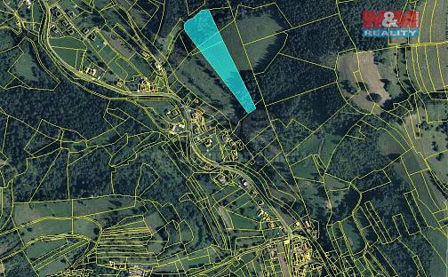 Prodej louky 13 741 m², Halenkov, okres Vsetín