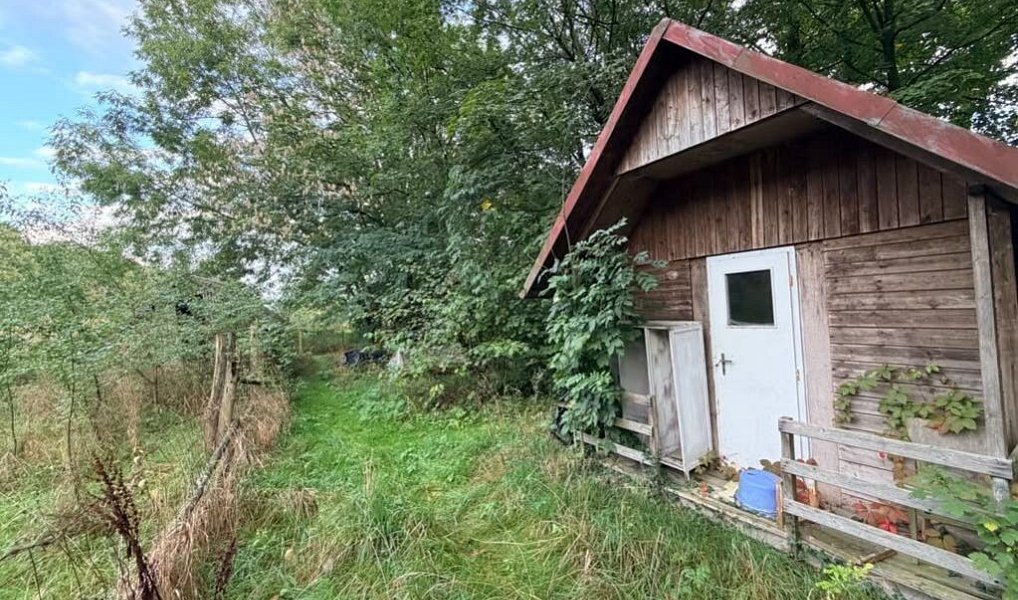 Prodej komerčního pozemku 2 559 m², Paceřice – náhled fotky 4