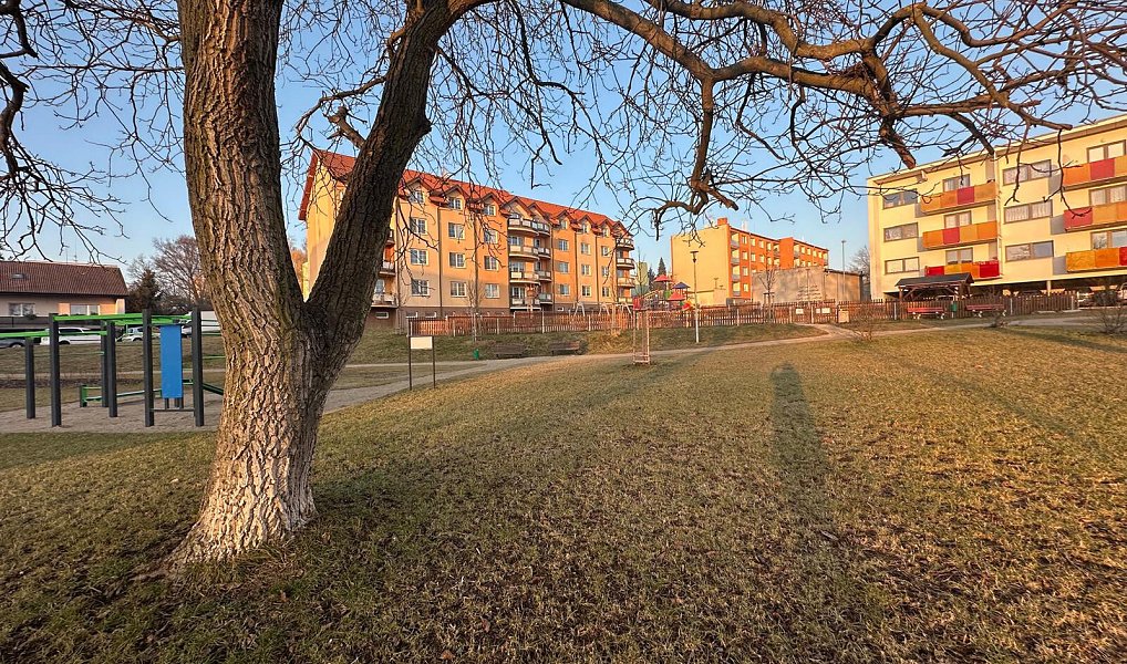 Pronájem bytu 2+1 73 m², Kralovice – náhled fotky 21