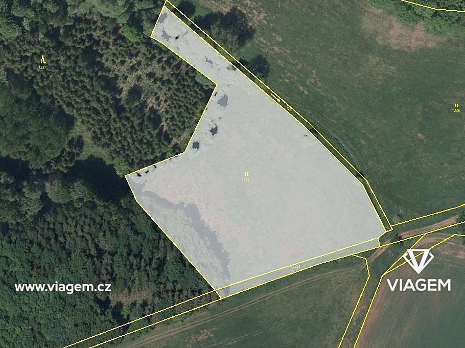 Prodej pole 3 113 m²