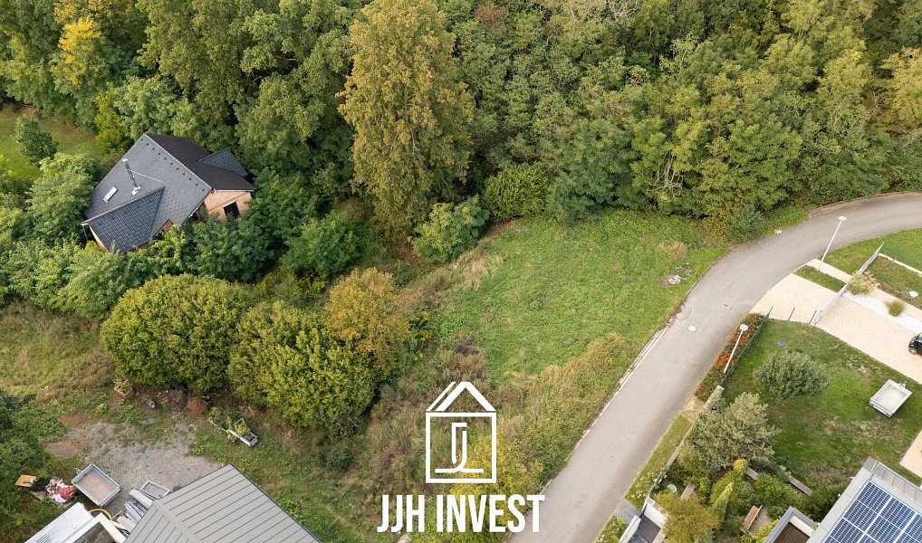Prodej stavebního pozemku 1 313 m², Vysoký Újezd – náhled fotky 11
