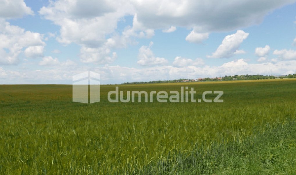 Prodej pole 11 679 m², Dolní Bousov – náhled fotky 2