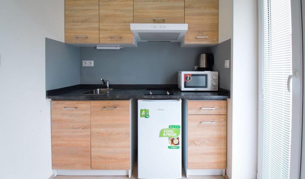 Pronájem bytu 1+kk 19 m², Brno – náhled fotky 3