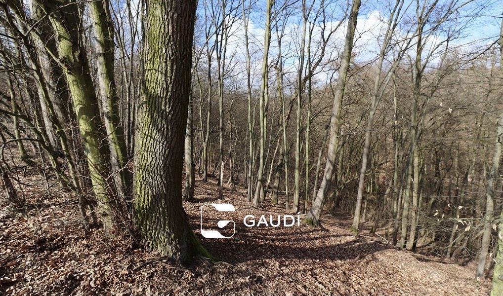 Prodej stavebního pozemku 1 483 m², Praha – náhled fotky 9