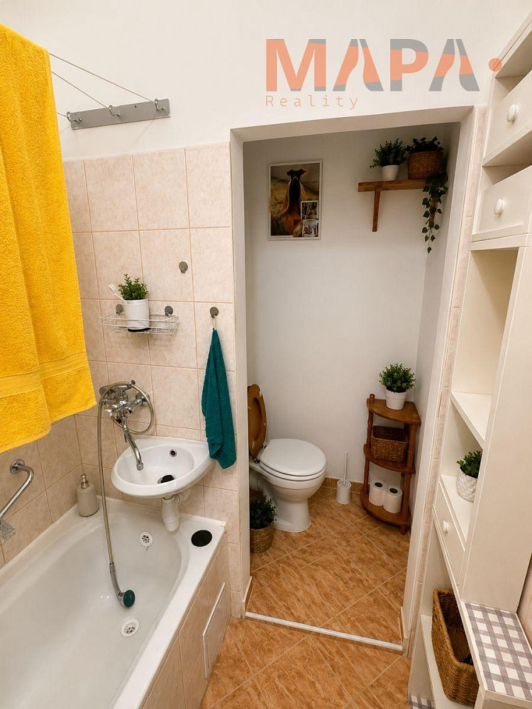 Pronájem bytu 1+1 40 m² – fotografie 5