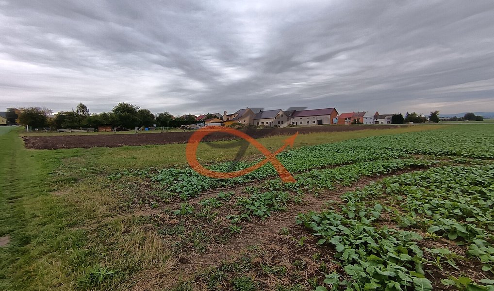 Prodej stavebního pozemku 1 343 m², Stará Ves – náhled fotky 4