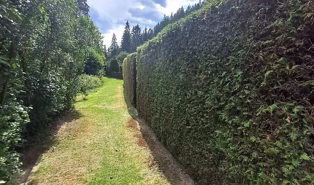 Prodej chaty/chalupy 65 m² s pozemkem 566 m², Větřní – náhled fotky 15