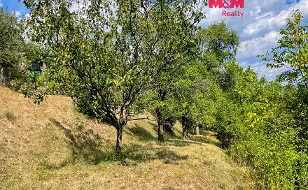 Ostatní