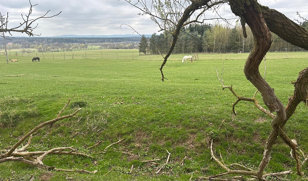 Prodej ubytovacího objektu 5 371 m², Mariánské Lázně – náhled fotky 30