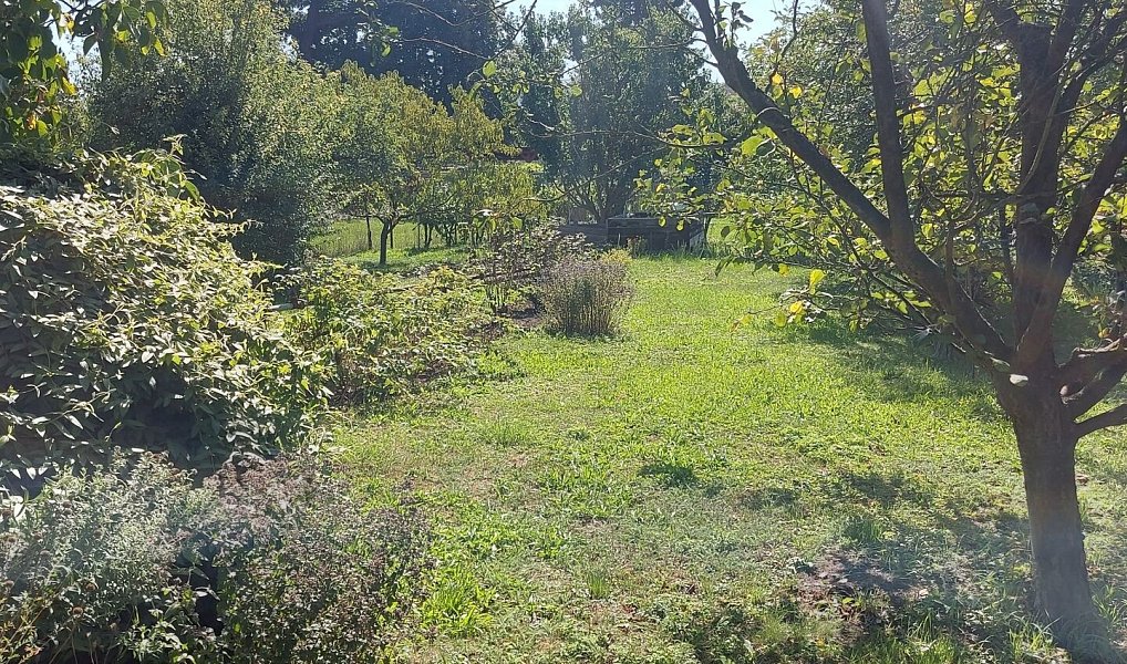 Prodej zahrady 452 m², Louny – náhled fotky 9