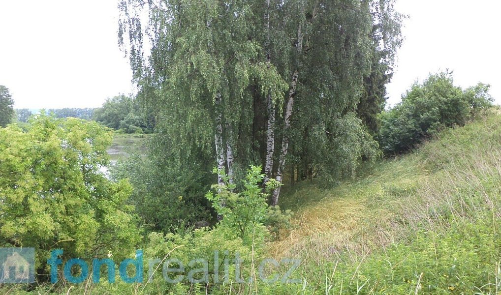 Prodej pozemku 4 992 m², Třebařov – náhled fotky 2