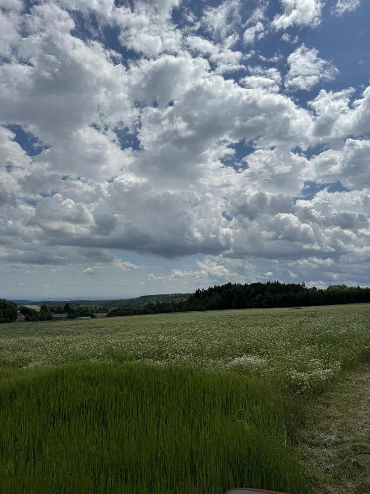 Prodej pole 864 m²