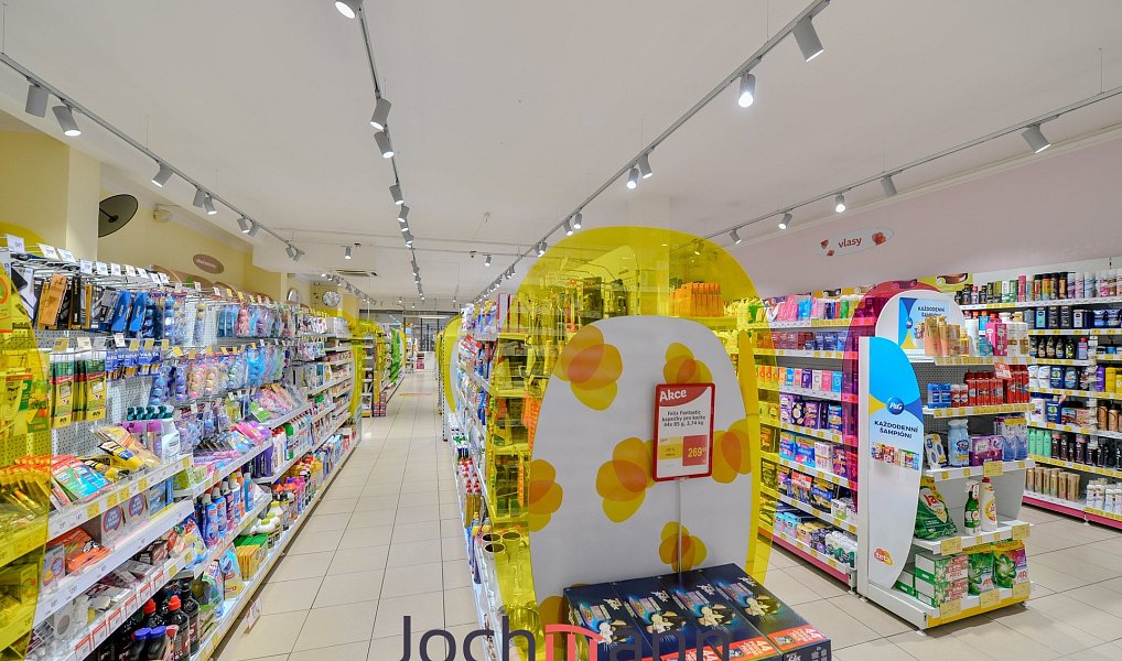 Pronájem obchodních prostor 340 m², České Budějovice – náhled fotky 16