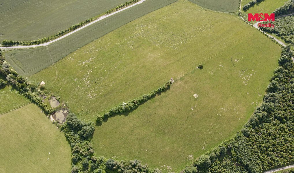 Prodej louky 18 398 m², Hranice – náhled fotky 6