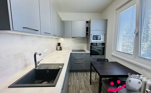 Pronájem bytu 2+1 55 m², Štefánikova, Kralupy nad Vltavou - Lobeček, okres Mělník