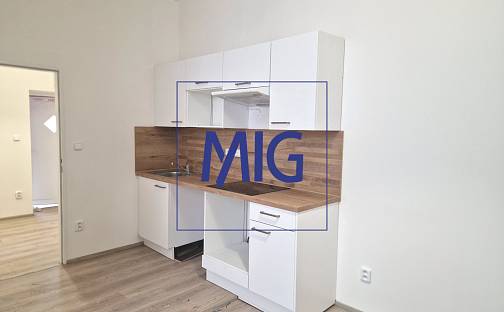 Pronájem bytu 2+kk 36 m², Brněnská, Holasice, okres Brno-venkov