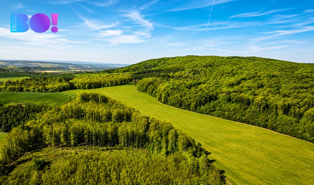 Prodej pozemku 512 m², Zástřizly – náhled fotky 5