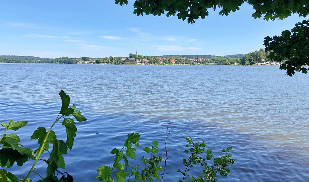 Prodej stavebního pozemku 2 107 m², Přední Výtoň – náhled fotky 7
