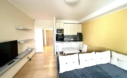 Pronájem bytu 1+kk 29 m², Hasičská, Frýdek-Místek - Frýdek
