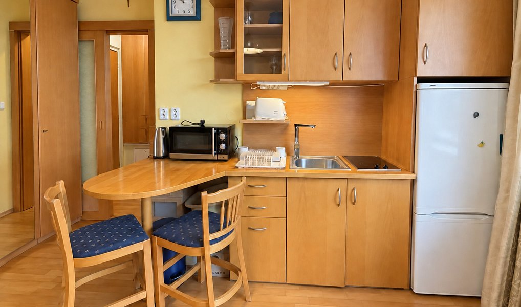 Pronájem bytu 1+kk 25 m², Praha – náhled fotky 7