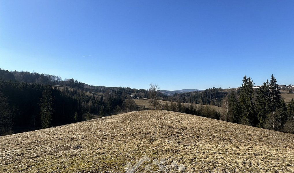 Prodej louky 14 441 m², Bozkov – náhled fotky 7