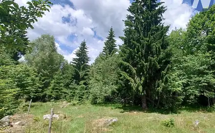 Prodej pozemku 607 m², Stožec, okres Prachatice