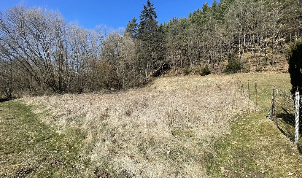 Prodej zahrady 782 m², Dlouhá Ves – náhled fotky 11