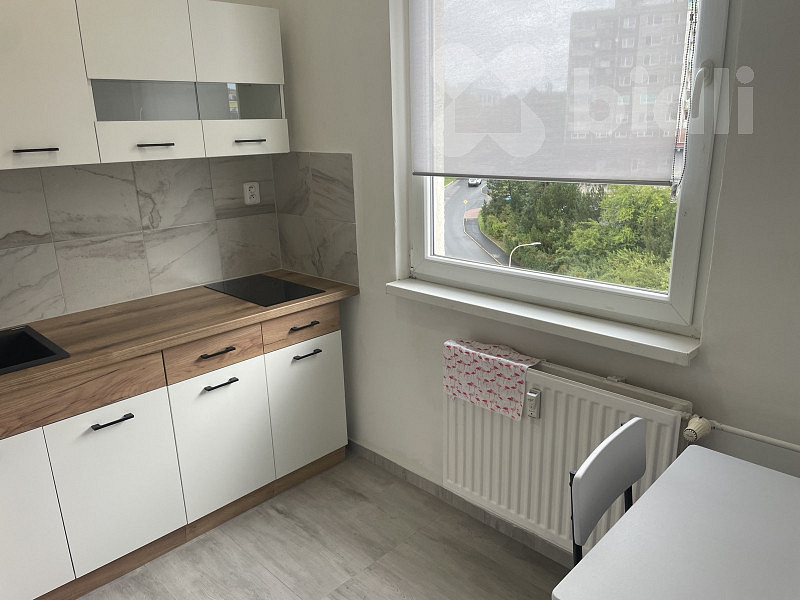 Pronájem bytu 1+1 39 m²