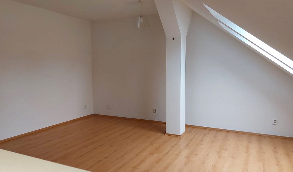 Pronájem bytu 2+kk 74 m², Plzeň – náhled fotky 4