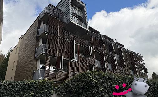 Prodej ubytovacího objektu 38 m², Harrachov, okres Jablonec nad Nisou