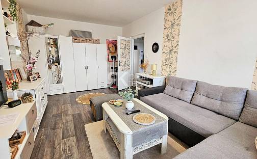 Prodej bytu 1+1 37 m², Ludvíka Podéště, Ostrava - Poruba