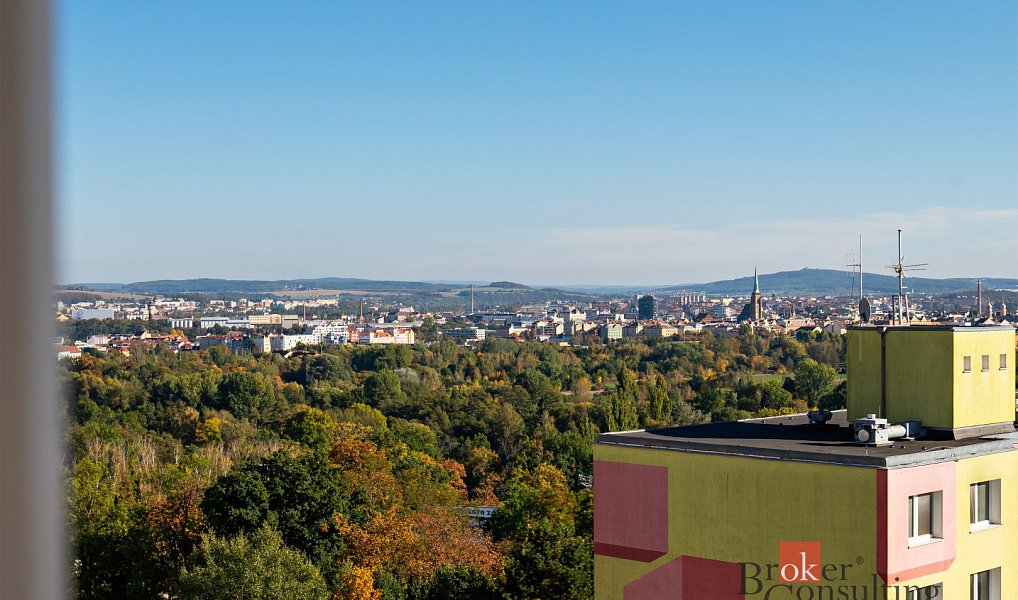 Prodej bytu 1+1 47 m², Plzeň – náhled fotky 9
