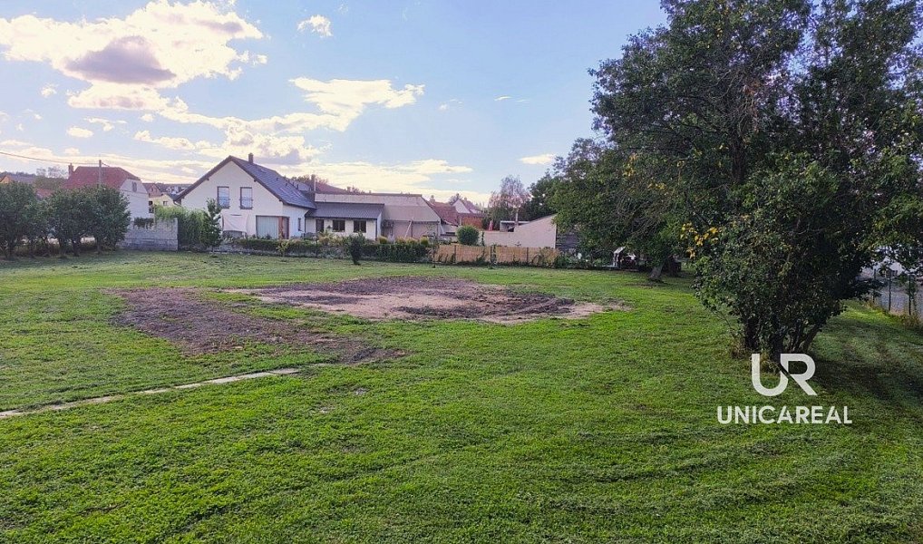 Prodej stavebního pozemku 2 348 m², Kovalovice – náhled fotky 5