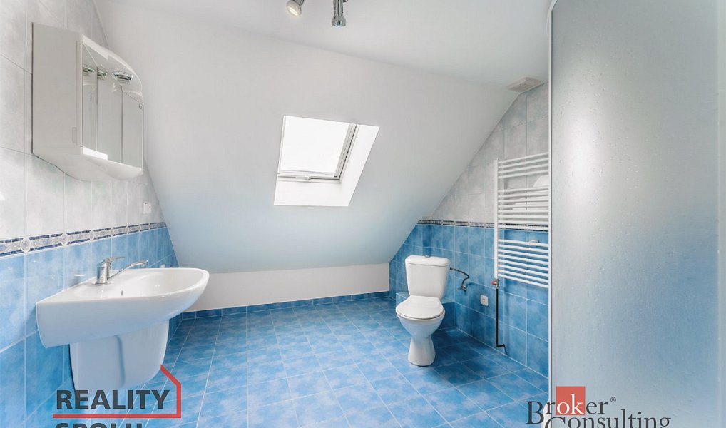 Prodej domu 240 m² s pozemkem 1 744 m², Žehušice – náhled fotky 8