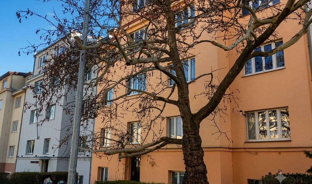 Prodej bytu 3+kk 84 m², Praha – náhled fotky 18