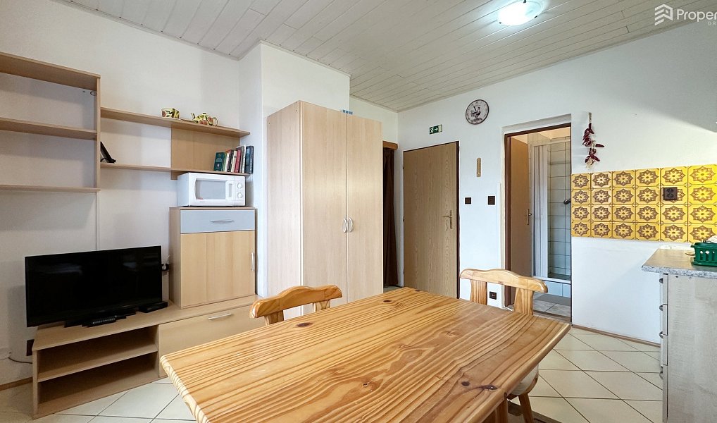 Prodej ubytovacího objektu 285 m², Strachotín – náhled fotky 9